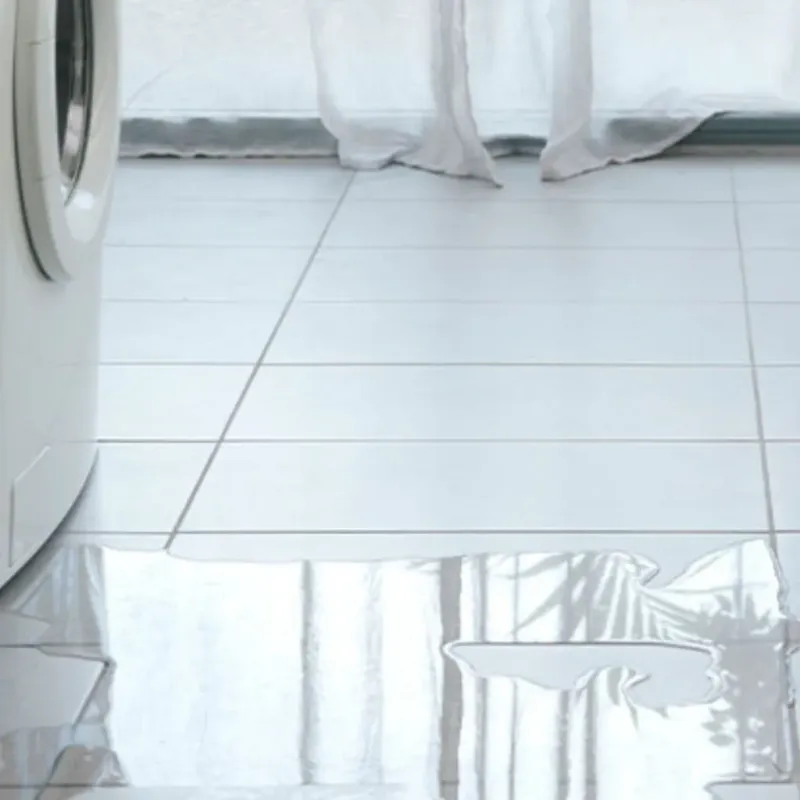 Appliance Leak Cleanup in Paradise, PA