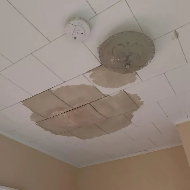 Ceiling Water Damage Repair in Paradise, PA