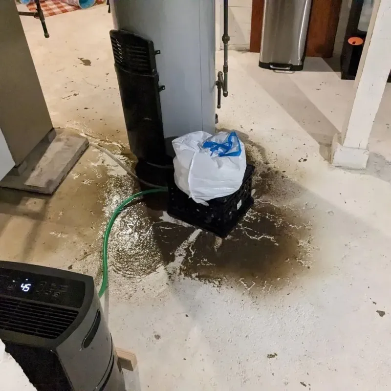 Sewage Backup Cleanup Service in Paradise, PA